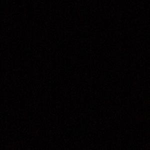 Meet your Posher, Sophia